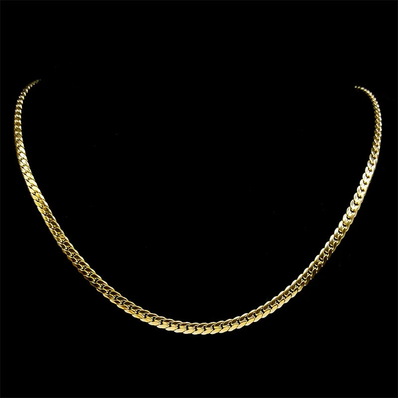 Stainless Steel Chain