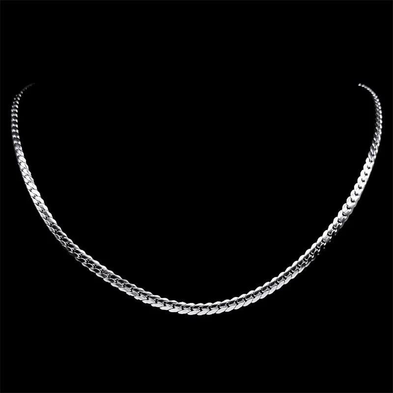Stainless Steel Chain
